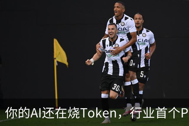 你的AI还在烧Token，行业首个Pro Agent已经开始赚钱了