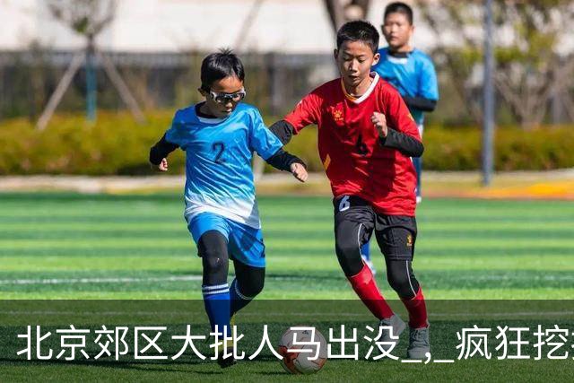 北京郊区大批人马出没 , 疯狂挖掘神秘“黑疙瘩” , 因滥采已岌岌可危