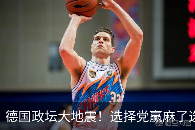 德国政坛大地震！选择党赢麻了选票，魏德尔却栽在了盟友身上