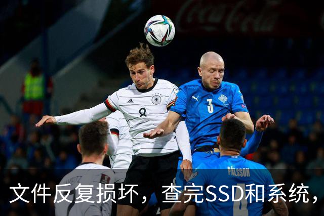 文件反复损坏，查完SSD和系统，问题出在内存条